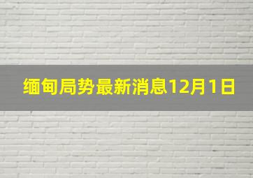 缅甸局势最新消息12月1日