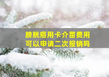 膀胱癌用卡介苗费用可以申请二次报销吗