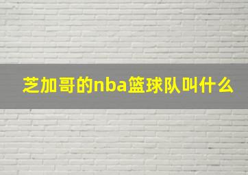 芝加哥的nba篮球队叫什么