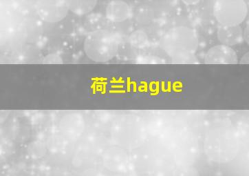 荷兰hague