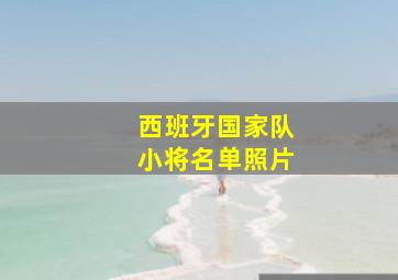 西班牙国家队小将名单照片