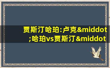 贾斯汀哈珀:卢克·哈珀vs贾斯汀·劳