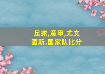 足球,意甲,尤文图斯,国家队比分