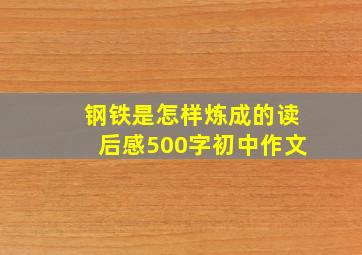 钢铁是怎样炼成的读后感500字初中作文