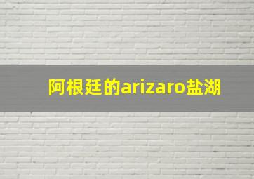 阿根廷的arizaro盐湖