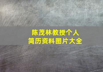 陈茂林教授个人简历资料图片大全